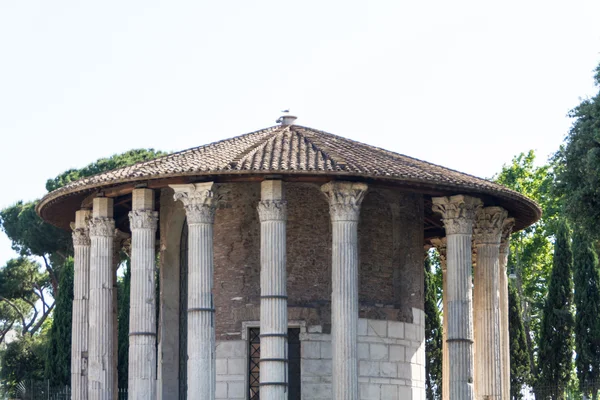 Roma - Vesta templo —  Fotos de Stock