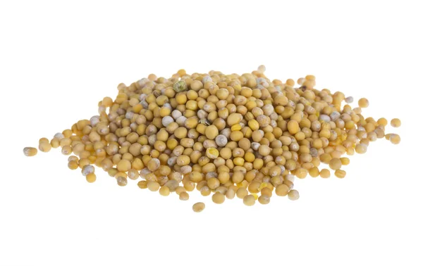 Žlutá hořčičná semena — Stock fotografie