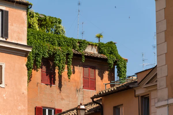 Roma, Italia. Dettagli architettonici tipici della città vecchia — Foto Stock