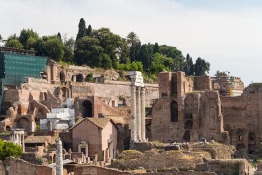 Bina kalıntıları ve antik sütunlar, Roma, İtalya