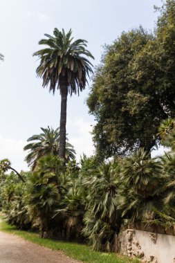 büyük kilise Merkezi Roma, İtalya.