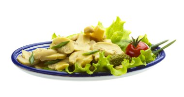 beyaz daire üzerinde beyaz izole içinde Marine mantar