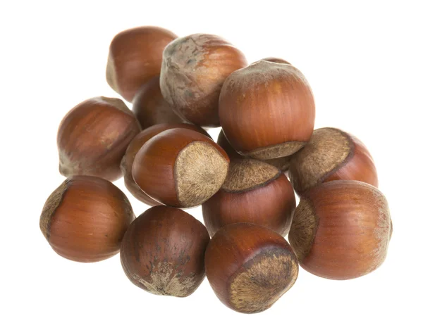 Dried hazelnuts — Stock Photo, Image