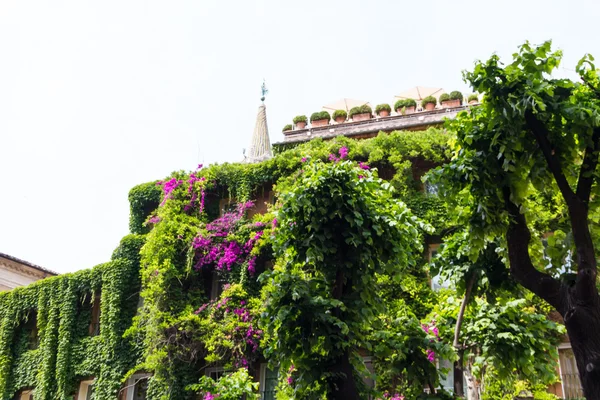 Edifício ruínas e colunas antigas em Roma, Itália — Fotografia de Stock