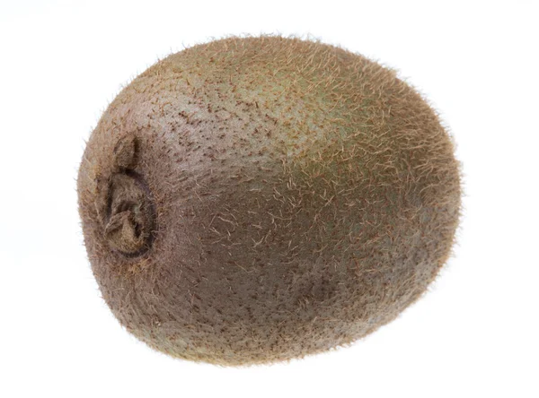 Kiwi frutas em um fundo branco — Fotografia de Stock