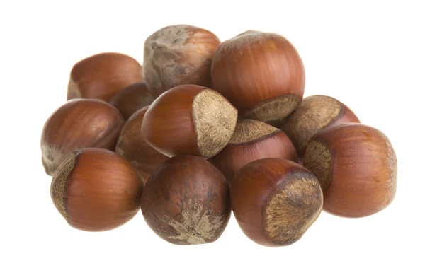 Dried hazelnuts — Stock Photo, Image