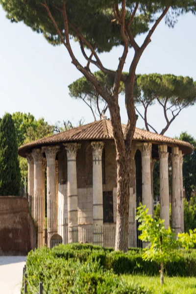 Roma - Templo de Vesta — Fotografia de Stock