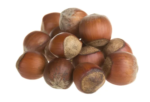 Dried hazelnuts — Stock Photo, Image
