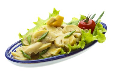 beyaz daire üzerinde beyaz izole içinde Marine mantar