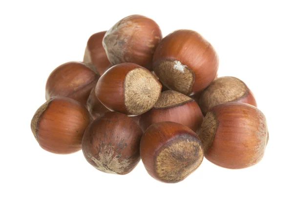 Dried hazelnuts — Stock Photo, Image