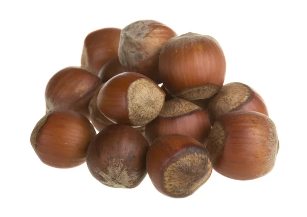 Dried hazelnuts — Stock Photo, Image