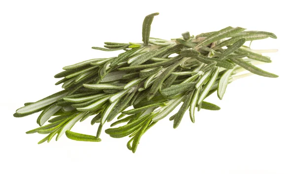 Rosemary — Stock Photo, Image