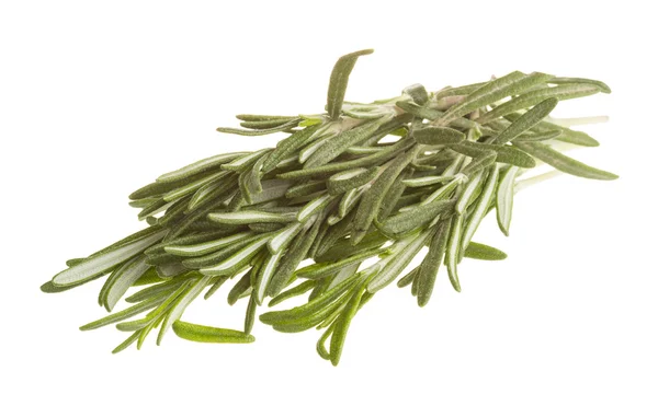 Rosemary — Stock Photo, Image