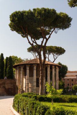 Roma - vesta Tapınağı