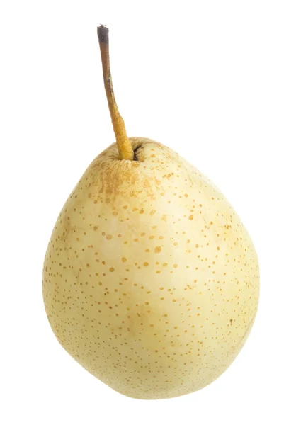 Fresh nashi pear on a white background — Stock Photo, Image