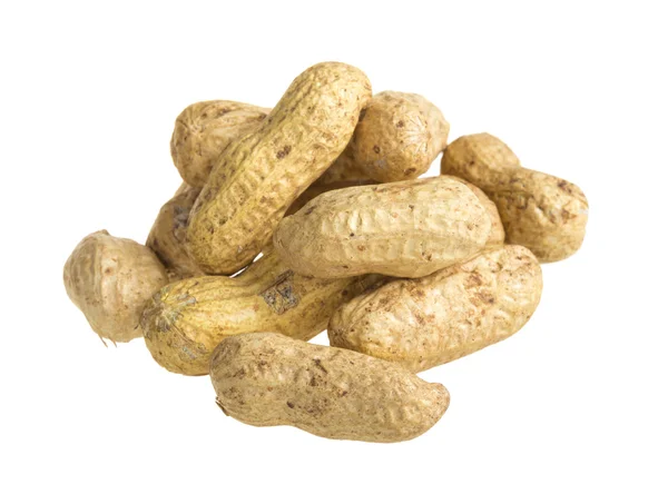 Close up of peanut — Stock Photo, Image