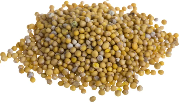 Yellow mustard seeds — Stock Photo, Image