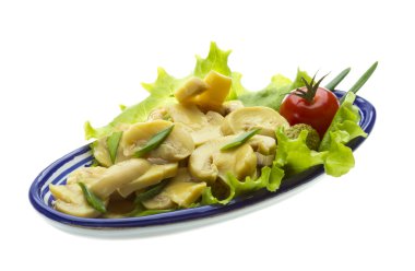 beyaz daire üzerinde beyaz izole içinde Marine mantar