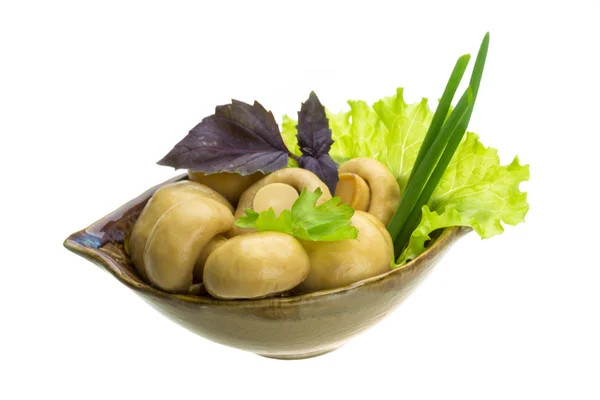 Rijp verse champignon — Stockfoto