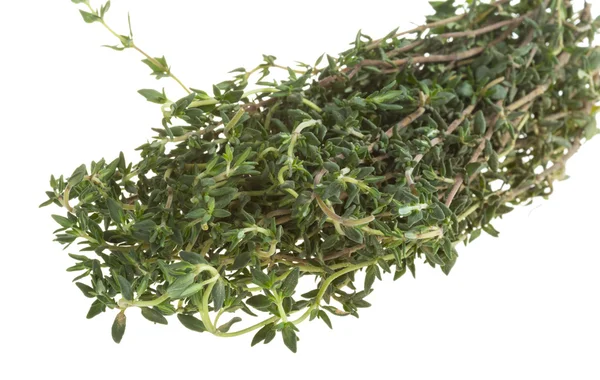 Fresh thyme — Stock Photo, Image