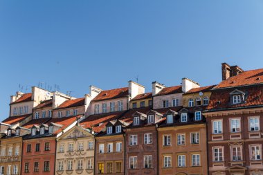 atlar, vektör