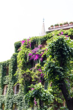 Bina kalıntıları ve antik sütunlar, Roma, İtalya