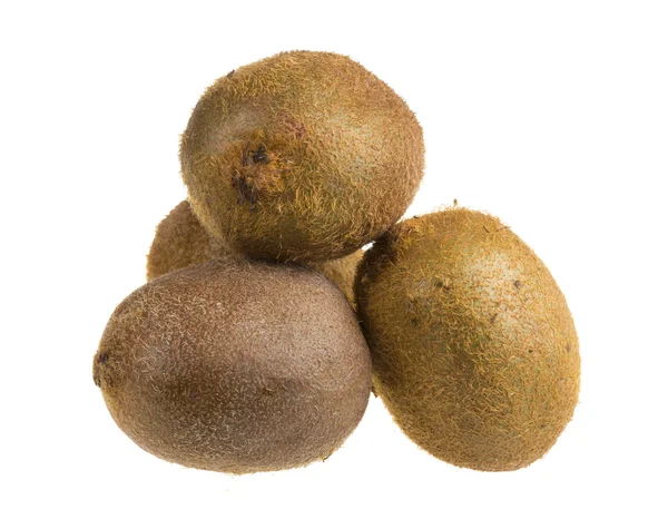 Isolierte Kiwi-Früchte — Stockfoto
