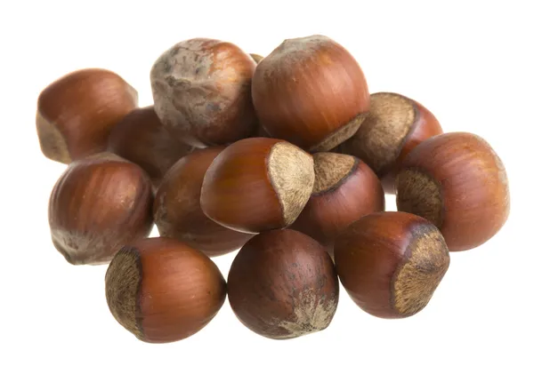 Dried hazelnuts — Stock Photo, Image