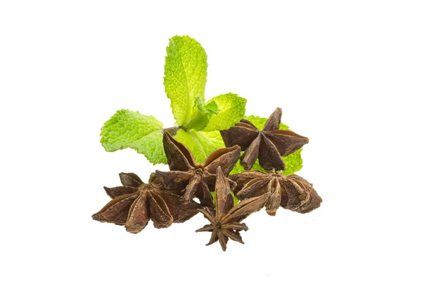 Star Anise and Mint — Stock Photo, Image