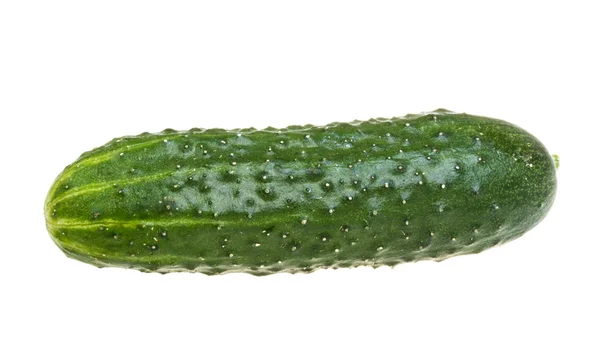 Gezonde voeding. de groene komkommers geïsoleerd op witte achtergrond — Stockfoto