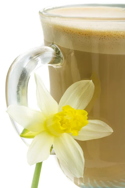 Coffee Late with Flower, mint, star-anise and cinnamon — Stock Photo, Image