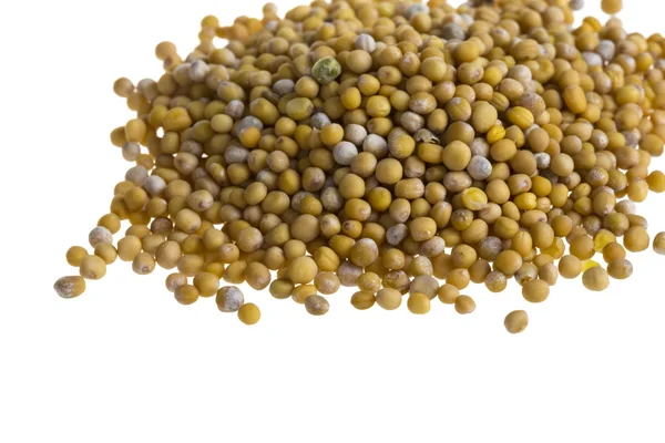 黄芥末籽 — 图库照片