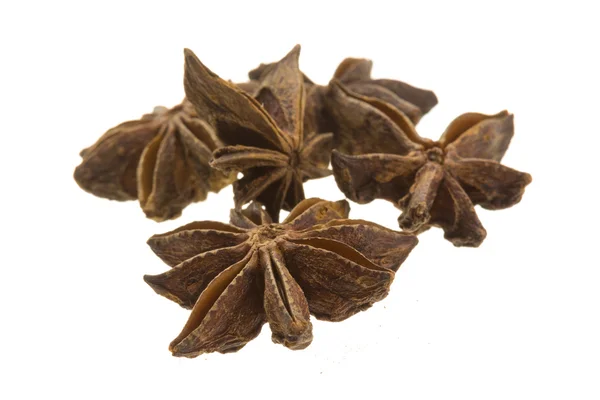 Star Anise — Stock Photo, Image