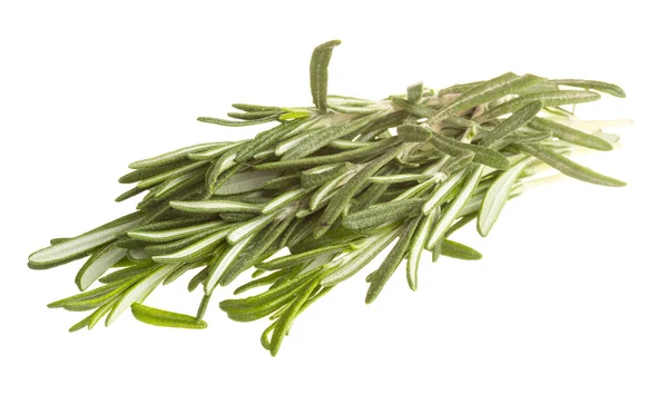 Rosemary — Stock Photo, Image