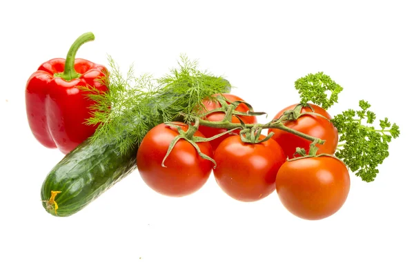 Red ripe tomatoes on the branch — Stock Photo, Image