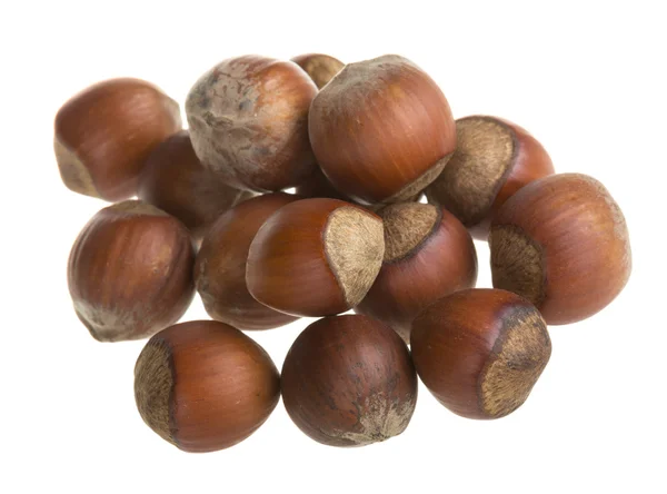 Dried hazelnuts — Stock Photo, Image