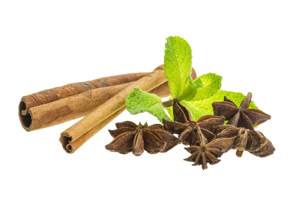 Cinnamon, star-anise and mint — Stock Photo, Image