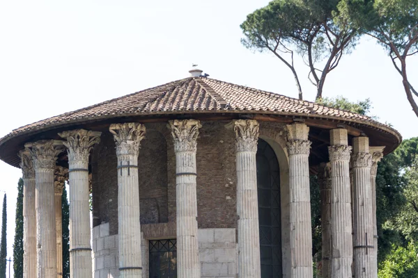 Roma - Templo de Vesta — Fotografia de Stock