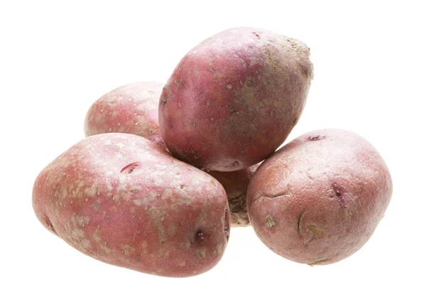 Rote rohe Kartoffel — Stockfoto