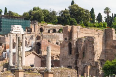 Bina kalıntıları ve antik sütunlar, Roma, İtalya
