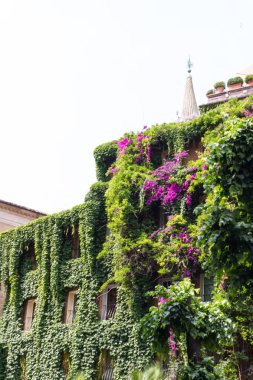 Bina kalıntıları ve antik sütunlar, Roma, İtalya