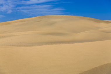 Maspalomas Duna - Kanarya adası Büyük Kanarya Çölü