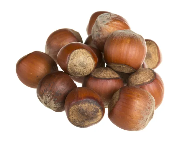 Dried hazelnuts — Stock Photo, Image