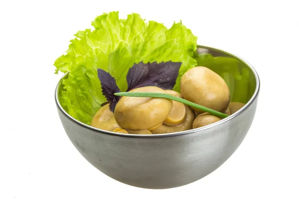 Rijp verse champignon — Stockfoto