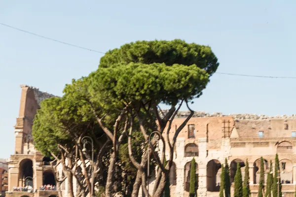 Coliseo de Roma, Italia —  Fotos de Stock