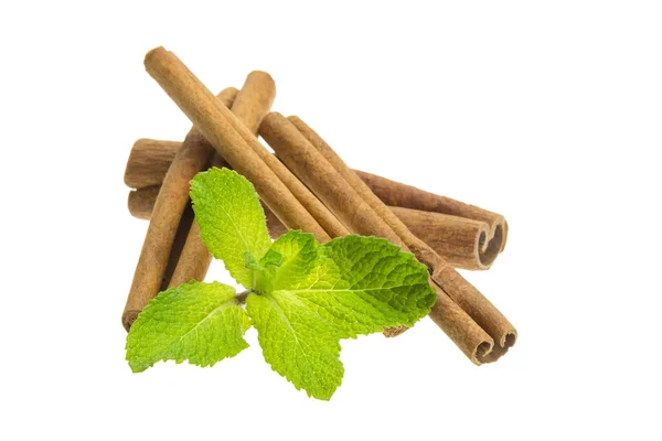 Cinnamon and fresh mint leaves — Stock Photo, Image