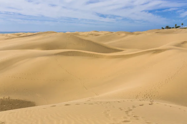 Maspalomas Duna - poušť na Kanárském ostrově Gran Canaria — Stock fotografie