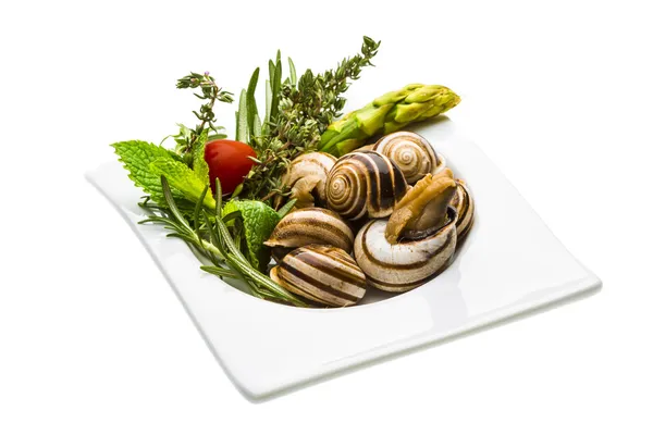 Escargot aux asperges, romarin, thymus et tomate — Photo