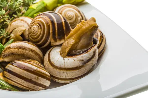 Escargot, spárga, a rozmaring, a csecsemőmirigy és a paradicsom — Stock Fotó