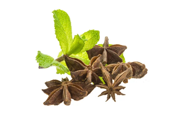 Star Anise and Mint — Stock Photo, Image